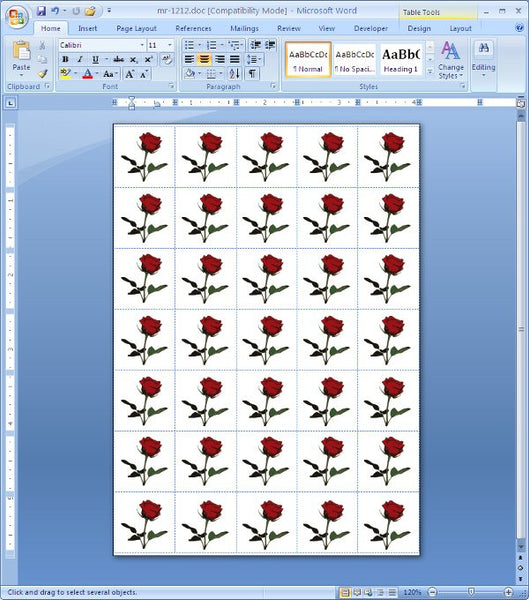 A Dozen Roses, Cheap